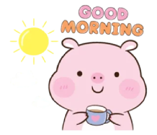 Video sticker 🌞 love piggy | @cutestickers4you