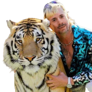 Телеграм стикер 🐆 Reserve Protocol