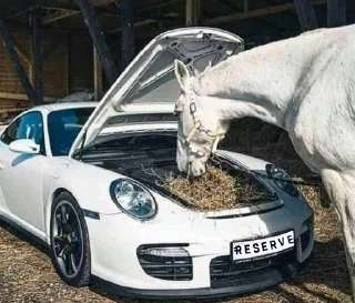 Телеграм стикер 🚖 Reserve Protocol