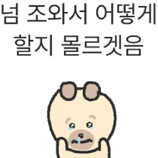 Video sticker ⭐ 기여버요 망충 똥개 @moe_sticker_bot