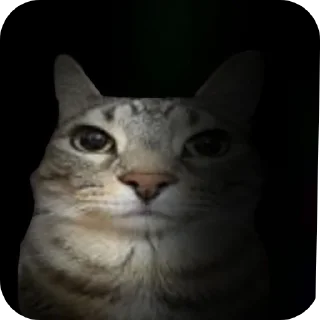 Telegram sticker 🐱 Сигма кот✅