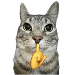 Telegram sticker 🐱 Сигма кот✅