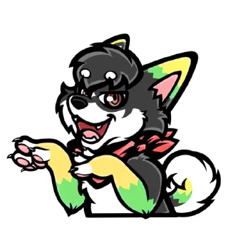 Video sticker 😃 KayrouHusky