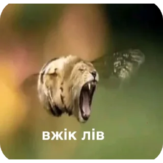 Telegram sticker 👍 Pidorasi by Аквамарин