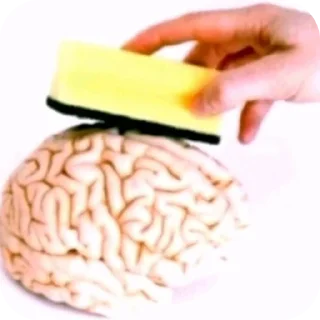 Video sticker 🤲 Pidorasi by Аквамарин