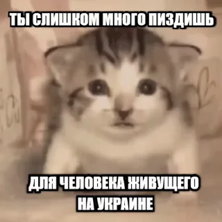 Video sticker 🚀 Больше стикеров: @stikery_18y