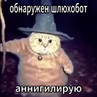 Video sticker 🚫 Больше стикеров: @stikery_18y