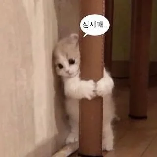 Telegram sticker 🥱 판도루 동물콘2 :: @the_pann