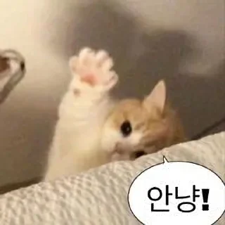 Telegram sticker 🫡 판도루 동물콘2 :: @the_pann