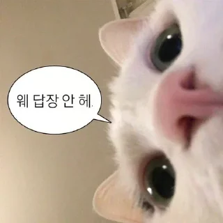 Telegram sticker 😾 판도루 동물콘2 :: @the_pann