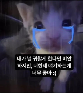 Sticker 😿 판도루 동물콘2 :: @the_pann