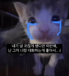 Video sticker 😿 판도루 동물콘2 :: @the_pann