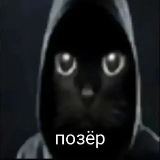 Телеграм стикер 🌟 главная мразь от @whok111EDmark