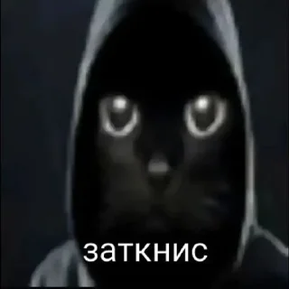 Телеграм стикер 🌟 главная мразь от @whok111EDmark