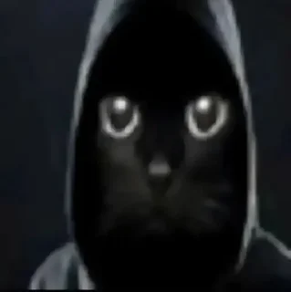 Sticker 🌟 главная мразь от @whok111EDmark