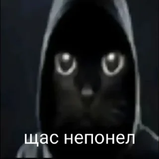 Video sticker 🌟 главная мразь от @whok111EDmark