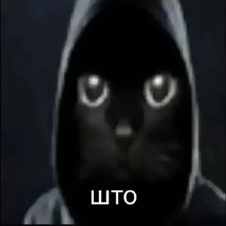 Телеграм стикер 🌟 главная мразь от @whok111EDmark