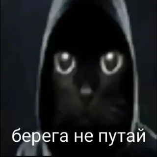 Video sticker 🌟 главная мразь от @whok111EDmark