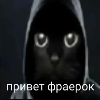 Video sticker 🌟 главная мразь от @whok111EDmark