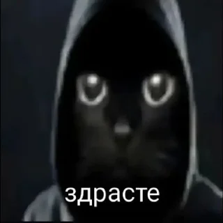 Телеграм стикер 🌟 главная мразь от @whok111EDmark