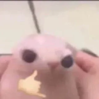 Video sticker 🍒 عشوائيات / @Dm03K