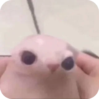 Video sticker 🤲 عشوائيات / @Dm03K