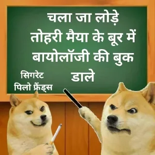 Video sticker ⭐ @kanishk_memer ज्ञान की पाठशाला