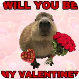 Телеграм стикер 🖼 Was Capybara