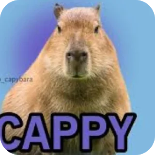 Телеграм стикер 🐱 Was Capybara
