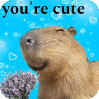 Телеграм стикер 🎫 Was Capybara