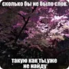 Video sticker 🌟 тгк: @ramm_alin...