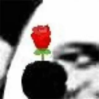 Video sticker 🌹 格尔曼の收藏库 @dengdaizhengyixiaojie
