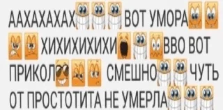 Telegram sticker 🌟 дурка @wexllp :: @fStikBot