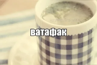 Telegram sticker 🌟 дурка @wexllp :: @fStikBot