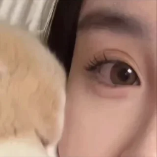 Video sticker 😍 प्यारी बिलिया 😻 @r_squared_rishabh