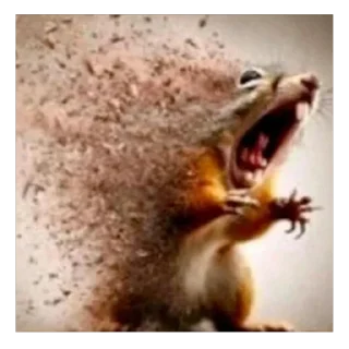 Telegram sticker 🤯 sutegi :: @fStikBot