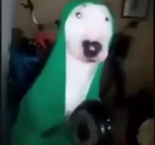 Video sticker 🌀 bukan elma