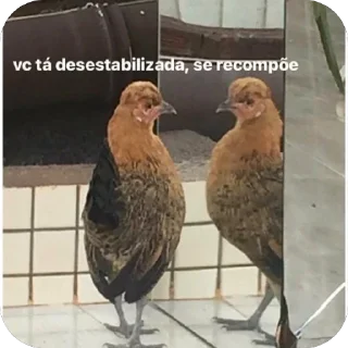 Telegram stiker 🫥 Suuh