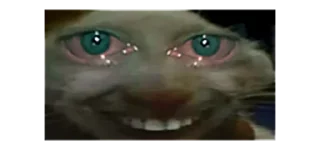 Telegram sticker 😂 ржомбик сквад 2.0 @rzhombiks