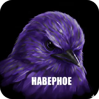 Video sticker 🐦 Птицки :: @Mark_Vailer :: @fStikBot