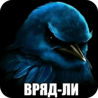 Sticker 🌟 Птицки :: @Mark_Vailer :: @fStikBot