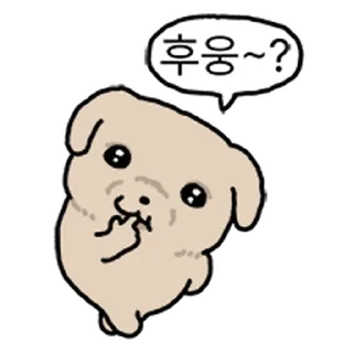 Video sticker ⭐ 깨득이 4 @moe_sticker_bot