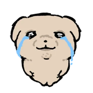 Video sticker ⭐ 깨득이 4 @moe_sticker_bot