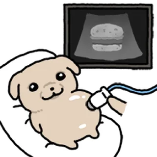 Video sticker ⭐ 깨득이 4 @moe_sticker_bot