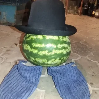 Telegram sticker 🍉 Стикер пак только для крутих 1#