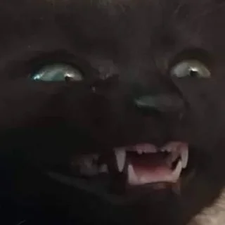 Sticker 😺 ультраржомба v.3