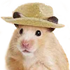 Sticker 🐹 хомяк в шл...