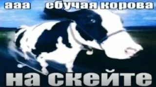 Video sticker 😱 Больше стиков тут: @stikery4