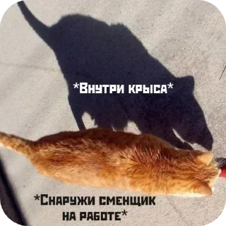 Telegram sticker 🐁 Больше стиков тут: @stikery4