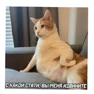 Telegram sticker 🤨 Больше стиков тут: @stikery4
